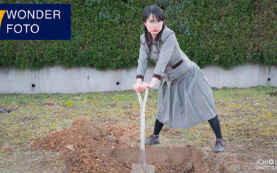 Wonder Foto Day (台北国際撮影芸術交流展) に作品を出展します