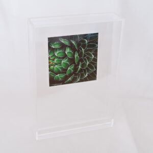 a layer #19 - Acrylic box