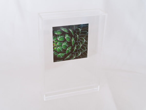 a layer #19 - Acrylic box