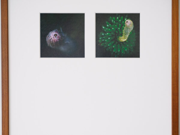 a layer #40, #39 - Wooden frame - 画像 (2)