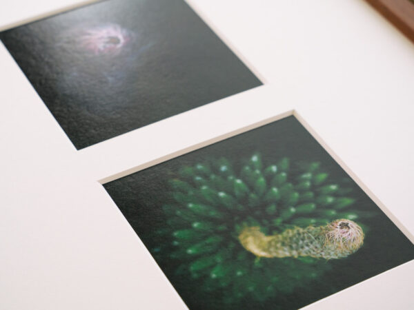a layer #40, #39 - Wooden frame - 画像 (3)