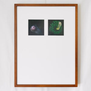 a layer #40, #39 - Wooden frame