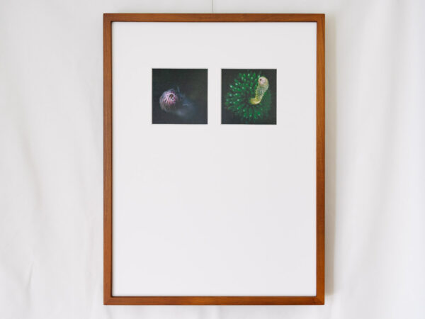 a layer #40, #39 - Wooden frame