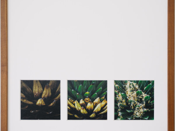 a layer #69, #65, #64 – Wooden frame - 画像 (2)