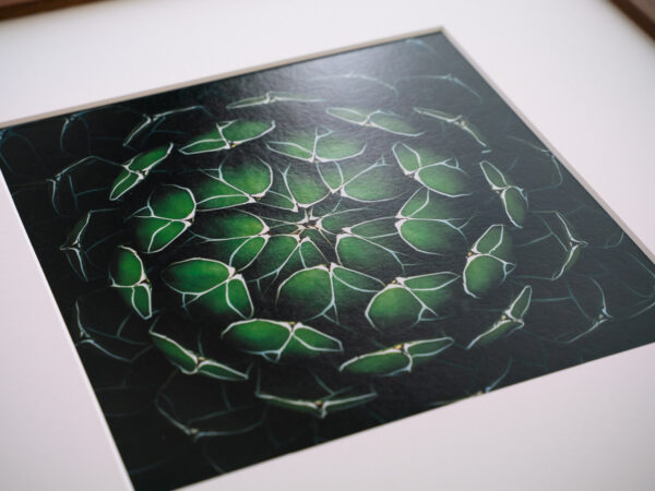 a layer #2 - Wooden frame - 画像 (3)