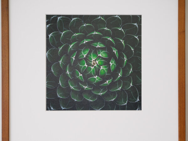 a layer #6 - Wooden frame - 画像 (2)