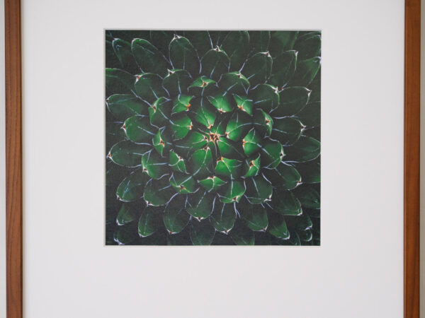 a layer #10 - Wooden frame - 画像 (2)