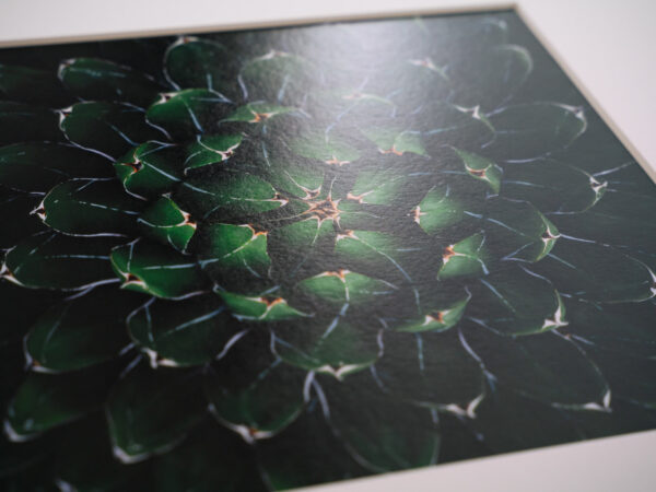 a layer #10 - Wooden frame - 画像 (3)
