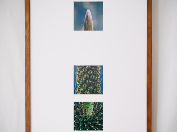 a layer #42, #49, #38 - Wooden frame - 画像 (2)