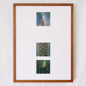 a layer #42, #49, #38 - Wooden frame
