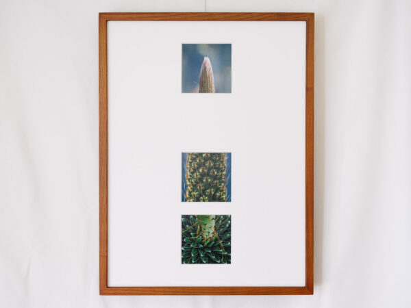 a layer #42, #49, #38 - Wooden frame