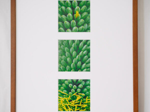 a layer #54, #53, #56 - Wooden frame - 画像 (2)