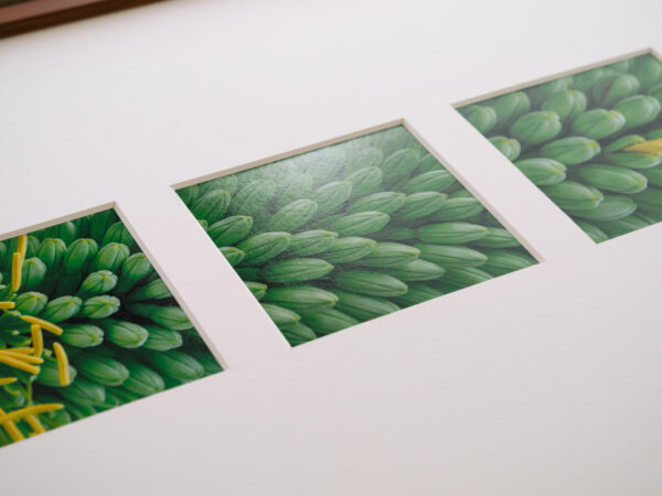 a layer #54, #53, #56 - Wooden frame - 画像 (3)