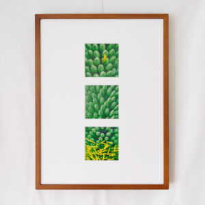 a layer #54, #53, #56 - Wooden frame