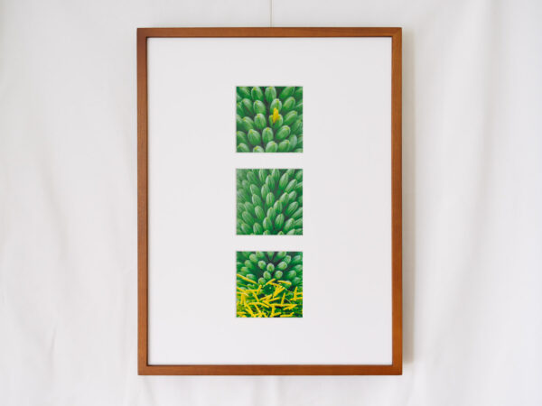 a layer #54, #53, #56 - Wooden frame