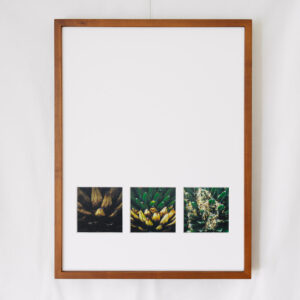 a layer #69, #65, #64 – Wooden frame