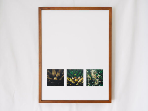 a layer #69, #65, #64 – Wooden frame